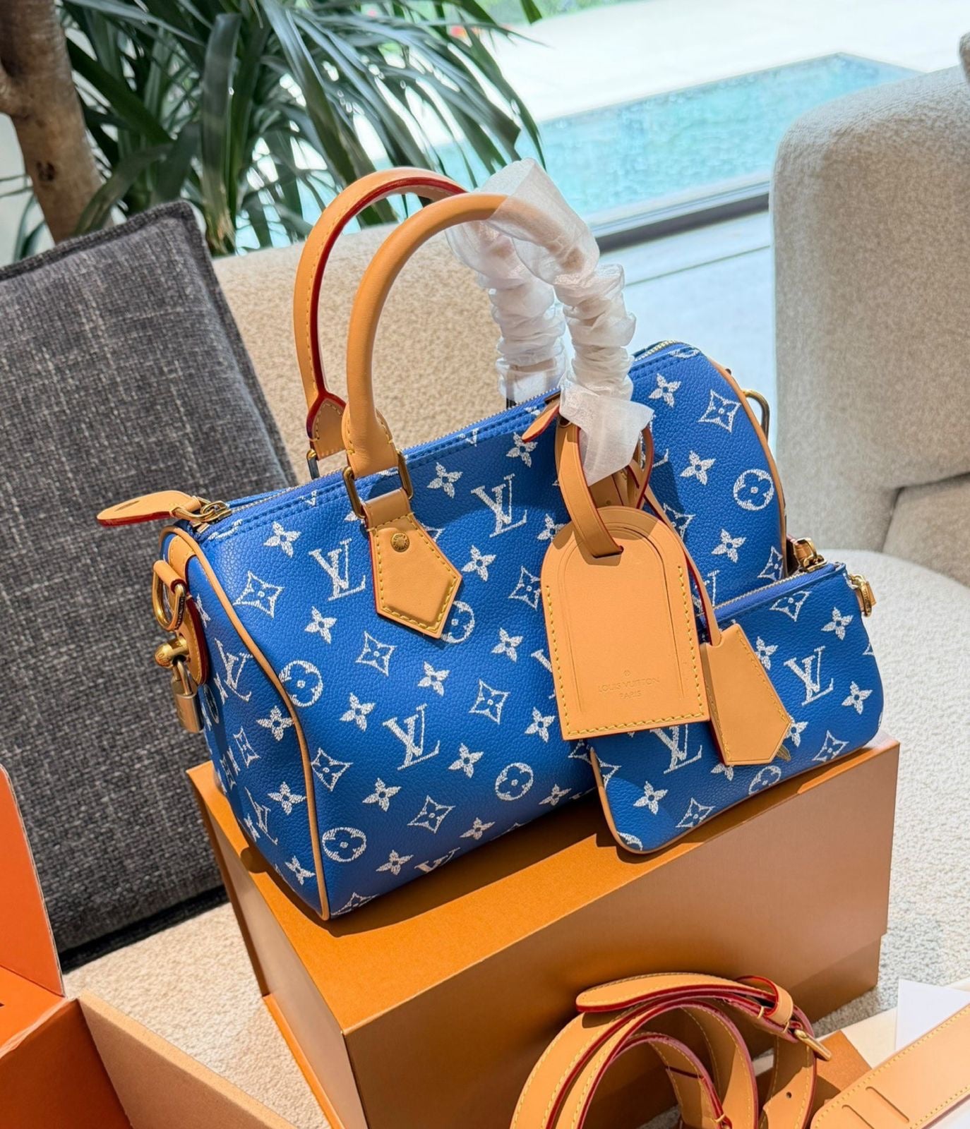 LV Blue Speedy25 Bag