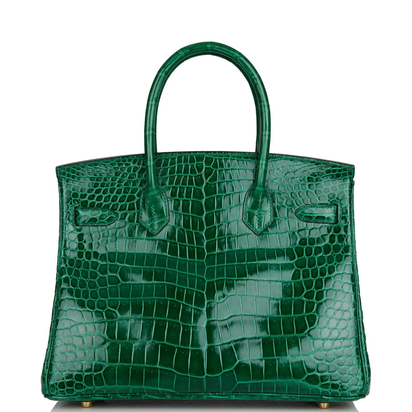 Cuero | Birkin Shiny Crocodile Gold Hardware Bag