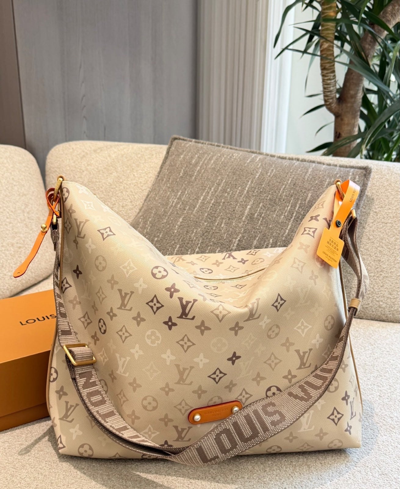 Louis Vuitton Loop Hobo Bag