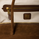 Miu Miu Suede Beau bag