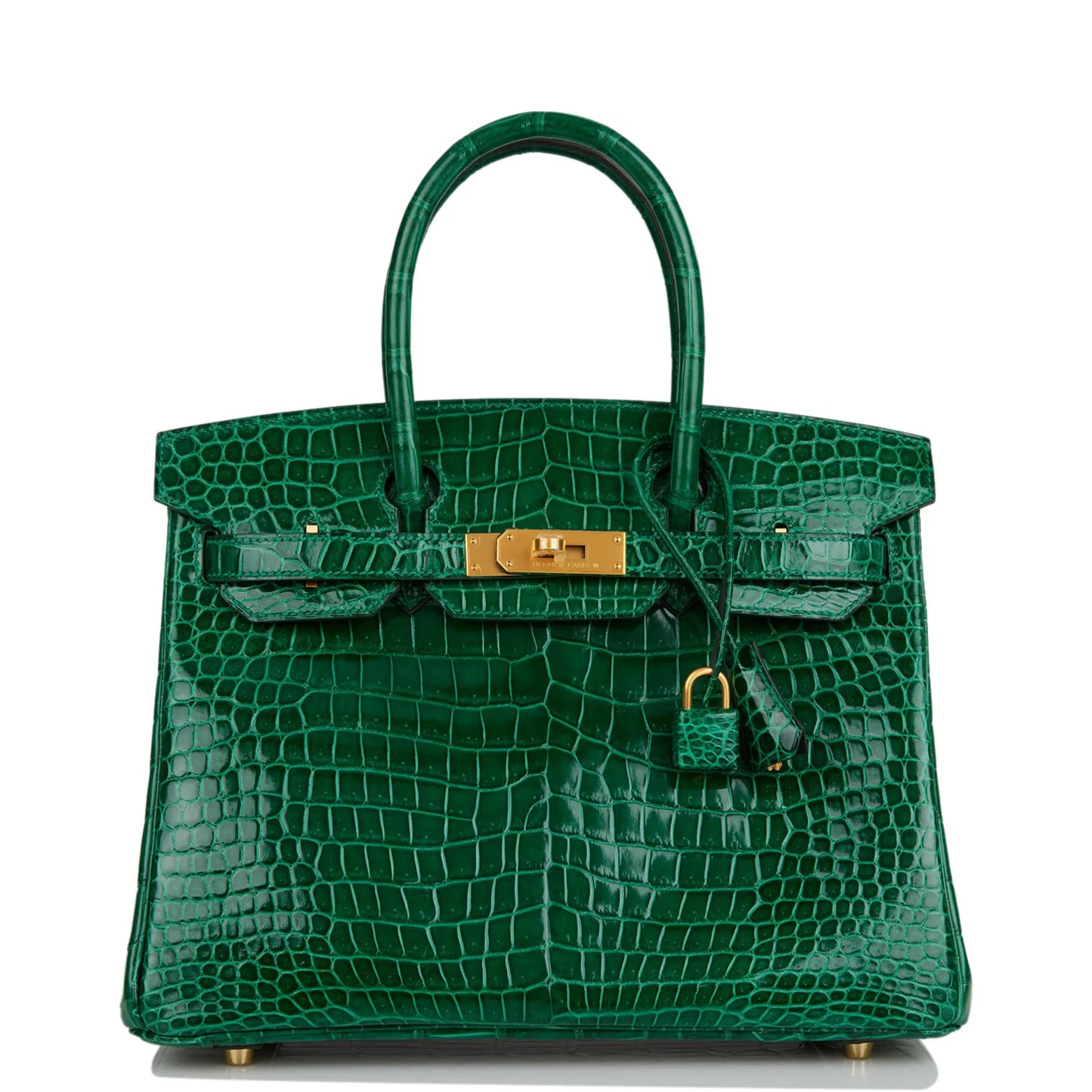 Cuero | Birkin Shiny Crocodile Gold Hardware Bag