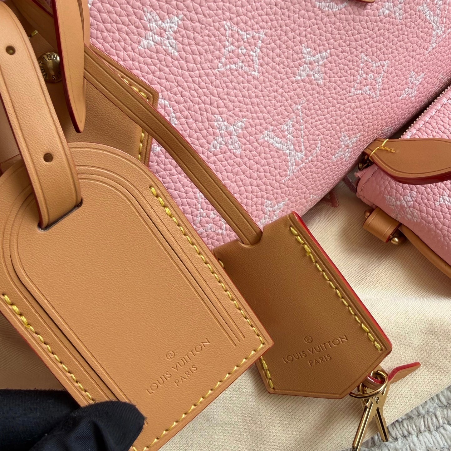 Cuero | Monogram Mini Speedy Bag