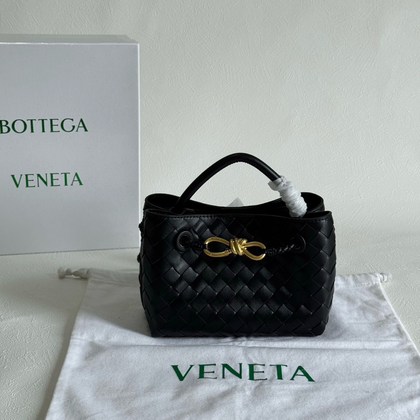 Mini Andiamo Bottega Bag