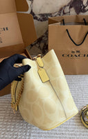 Coach Rowan Bucket In Signature CanvasBag