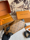 Louis Vuitton Crush Bucket Bag