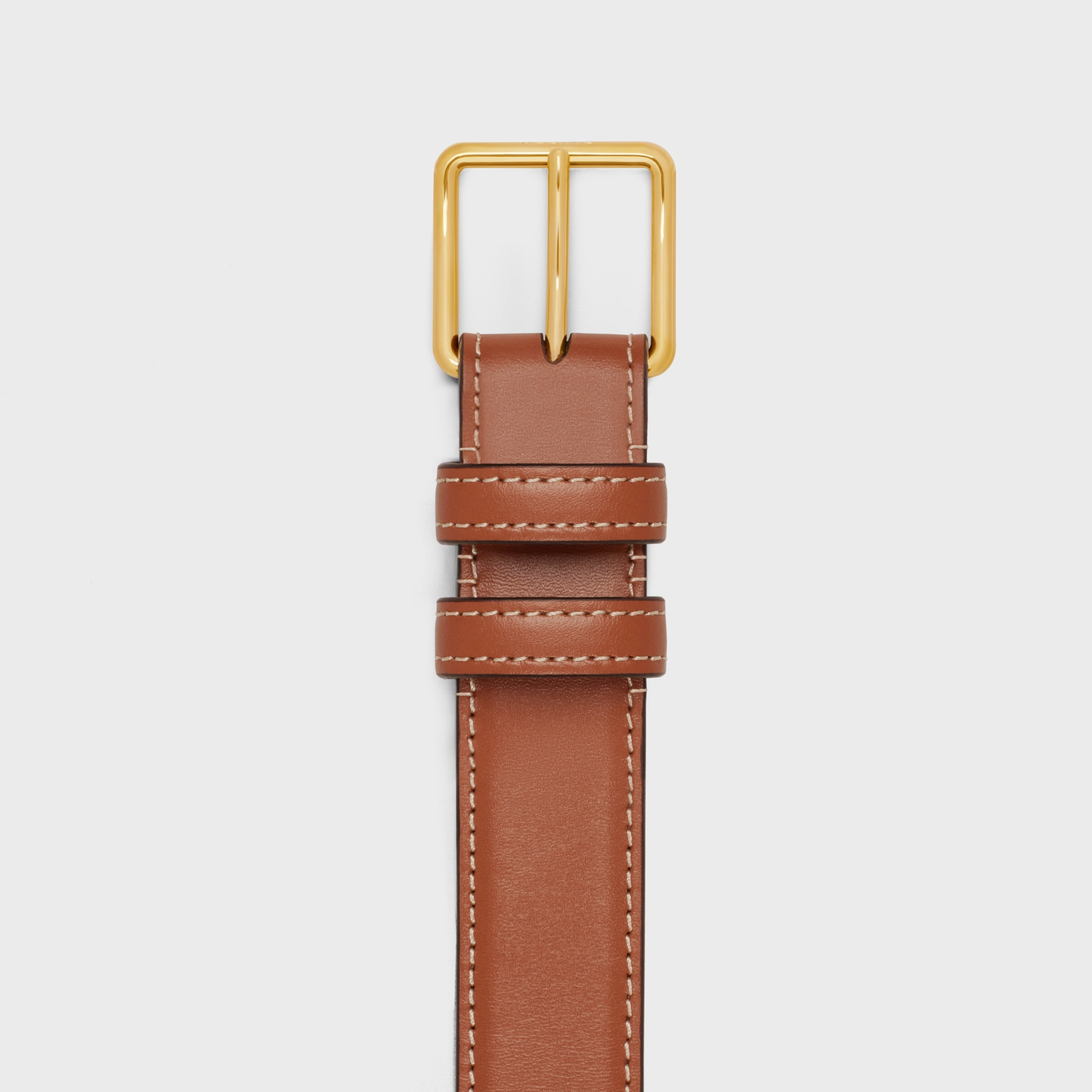 Cuero | BELT BAG TRIOMPHE BELT in TRIOMPHE CANVAS AND CALFSKIN