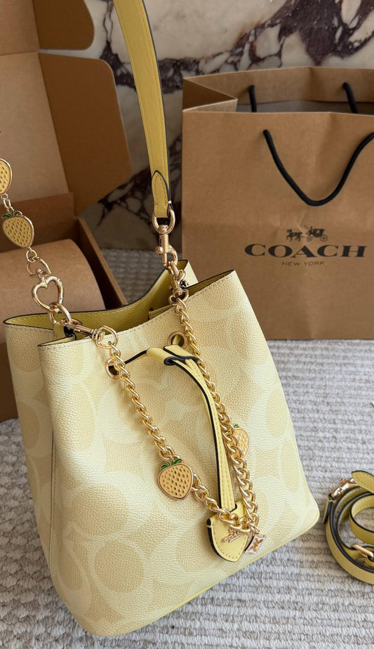 Coach Rowan Bucket In Signature CanvasBag