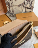 LV Dauphine Monogram Bag