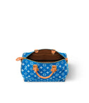 LV Speedy Handbag