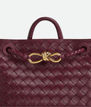 Bottega Veneta Small Andiamo