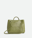 Bottega Veneta Small Andiamo Bag