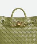 Bottega Veneta Small Andiamo Bag