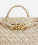 Bottega Veneta Small Andiamo Bag